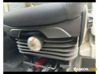 Iveco DAILY 35C12 - CASSONE DAILY 35C12 - CASSONE Altro | TENTORI