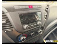 Iveco DAILY 35C14 H - FURGONE IN LEGA DAILY 35C14 H - FURGONE IN LEGA Altro | TENTORI