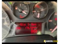 Iveco DAILY 35C12 - CASSONE DAILY 35C12 - CASSONE Altro | TENTORI