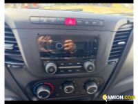 Iveco DAILY 35C14 H - FURGONE DAILY 35C14 H - FURGONE Altro | TENTORI