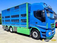 Iveco AS260S56Y/PS TRASPORTO ANIMALI AS260S56Y/PS TRASPORTO ANIMALI Altro | Milano Industrial S.P.A.
