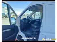 Fiat DUCATO DUCATO | Leggeri <= 3,5 Altro | GHEDAUTO Veicoli Industriali S.r.l.
