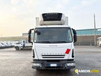 Iveco Medio   EUROCARGO ML75E16 Medio   EUROCARGO ML75E16 | Autocarro fino 7.5t Isotermico con gruppo frigo | VIVA BRESCIA DIESEL SPA
