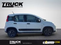 Fiat Panda III Panda van 1.0 hybrid Street 70cv 4p.ti serie 4 E6d | Altro Altro
