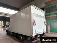 Iveco DAILY 35S16 DAILY 35S16 | Altro Altro | USED TRUCK S.R.L.