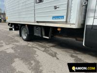 Iveco DAILY 35C14 DAILY 35C14 | USED TRUCK S.R.L.