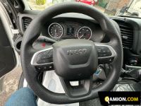 Iveco DAILY 35C14 DAILY 35C14 | USED TRUCK S.R.L.