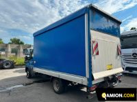 Iveco DAILY 35C16 DAILY 35C16 | Altro Altro | USED TRUCK S.R.L.