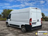 Fiat DUCATO DUCATO | Leggero Furgone > 35 q.li Altro | Borgo Agnello S.p.A.