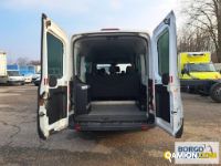 Ford TRANSIT TRANSIT | Bus Minibus | Borgo Agnello S.p.A.