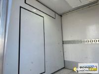 Iveco DAILY 70C17 DAILY 70C17 | Motrice Isotermico / coibentato | Borgo Agnello S.p.A.