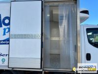 Iveco DAILY 70C17 DAILY 70C17 | Motrice Isotermico / coibentato | Borgo Agnello S.p.A.