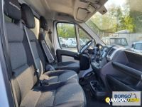 Fiat DUCATO DUCATO | Altro Isotermico / coibentato | Borgo Agnello S.p.A.