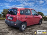 Fiat PANDA PANDA | Automobile Altro | Borgo Agnello S.p.A.