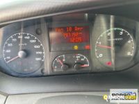 Iveco DAILY 60C15 DAILY 60C15 | Motrice Cassone fisso | Borgo Agnello S.p.A.