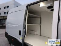 Iveco DAILY 35S14 DAILY 35S14 | Altro Isotermico / coibentato | Borgo Agnello S.p.A.