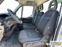 Iveco DAILY 35C14 DAILY 35C14 | Sollevamento e movimentazione Trasporto animali | Borgo Agnello S.p.A.