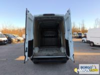 Iveco DAILY 35S16 DAILY 35S16 | Leggero Furgone > 35 q.li Altro | Borgo Agnello S.p.A.