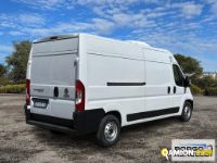 Fiat DUCATO DUCATO | Leggero Furgone > 35 q.li Altro | Borgo Agnello S.p.A.