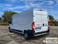 Fiat DUCATO DUCATO | Leggero Furgone > 35 q.li Altro | Borgo Agnello S.p.A.