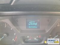 Ford TRANSIT TRANSIT | Bus Minibus | Borgo Agnello S.p.A.