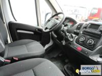 Opel MOVANO MOVANO | Leggero Furgone > 35 q.li Altro | Borgo Agnello S.p.A.