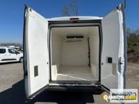 Fiat DUCATO DUCATO | Leggero Furgone > 35 q.li Altro | Borgo Agnello S.p.A.