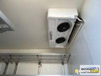 Iveco DAILY 60C18 DAILY 60C18 | Motrice Isotermico / coibentato | Borgo Agnello S.p.A.