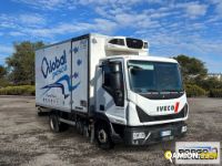 Iveco EUROCARGO ML75E19 EUROCARGO ML75E19 | Motrice Isotermico / coibentato | Borgo Agnello S.p.A.