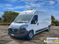 Fiat DUCATO DUCATO | Leggero Furgone > 35 q.li Altro | Borgo Agnello S.p.A.