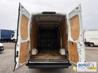 Iveco DAILY 35S14 DAILY 35S14 | Leggero Furgone > 35 q.li Altro | Borgo Agnello S.p.A.