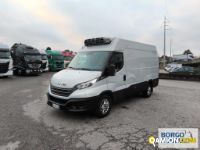 Iveco DAILY 35S14 DAILY 35S14 | Altro Isotermico / coibentato | Borgo Agnello S.p.A.