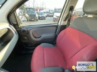 Fiat PANDA PANDA | Leggero Furgone > 35 q.li Altro | Borgo Agnello S.p.A.