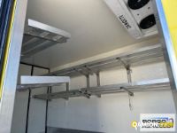 Iveco DAILY 60C18 DAILY 60C18 | Motrice Isotermico / coibentato | Borgo Agnello S.p.A.
