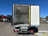 Iveco DAILY 60C18 DAILY 60C18 | Motrice Isotermico / coibentato | Borgo Agnello S.p.A.