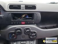 Fiat PANDA PANDA | Automobile Altro | Borgo Agnello S.p.A.