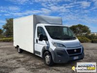 Fiat DUCATO DUCATO | Leggero Furgone > 35 q.li Altro | Borgo Agnello S.p.A.