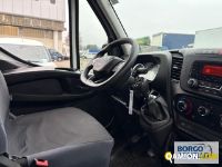 Iveco DAILY 35S14 DAILY 35S14 | Leggero Furgone > 35 q.li Altro | Borgo Agnello S.p.A.