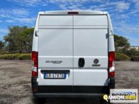 Fiat DUCATO DUCATO | Leggero Furgone > 35 q.li Altro | Borgo Agnello S.p.A.