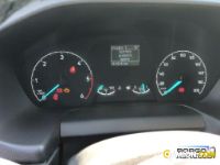 Ford TRANSIT TRANSIT | Leggero Furgone > 35 q.li Altro | Borgo Agnello S.p.A.