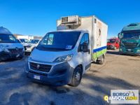 Fiat DUCATO DUCATO | Altro Isotermico / coibentato | Borgo Agnello S.p.A.