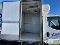 Iveco DAILY 70C17 DAILY 70C17 | Motrice Isotermico / coibentato | Borgo Agnello S.p.A.