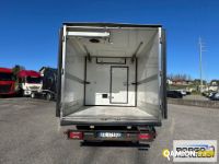 Iveco DAILY 70C17 DAILY 70C17 | Motrice Isotermico / coibentato | Borgo Agnello S.p.A.