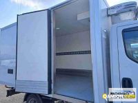 Iveco DAILY 35C16 DAILY 35C16 | Altro Isotermico / coibentato | Borgo Agnello S.p.A.