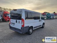 Fiat DUCATO DUCATO | Bus Minibus | Borgo Agnello S.p.A.