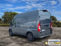 Fiat DUCATO DUCATO | Leggero Furgone > 35 q.li Altro | Borgo Agnello S.p.A.
