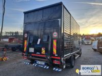 Iveco DAILY 65C18 DAILY 65C18 | Motrice Cassone fisso con centina | Borgo Agnello S.p.A.