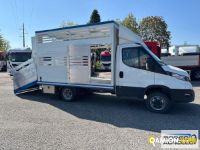 Iveco DAILY 35C14 DAILY 35C14 | Sollevamento e movimentazione Trasporto animali | Borgo Agnello S.p.A.