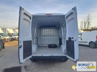 Opel MOVANO MOVANO | Leggero Furgone > 35 q.li Altro | Borgo Agnello S.p.A.