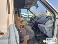 Ford TRANSIT TRANSIT | Bus Minibus | Borgo Agnello S.p.A.